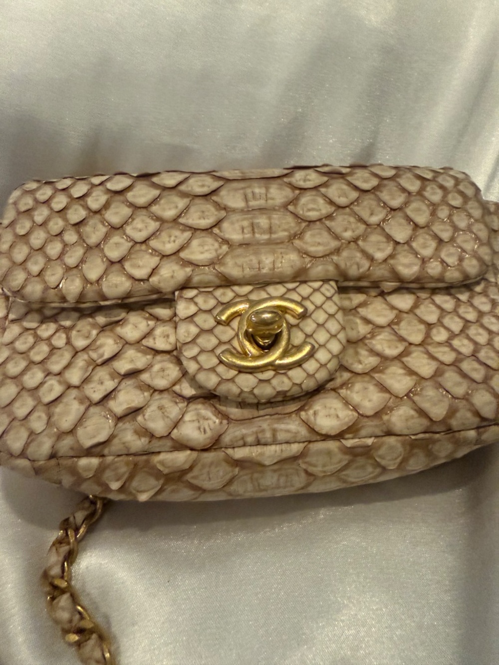 Chanel Python mini flap bag - Picture 9 of 15